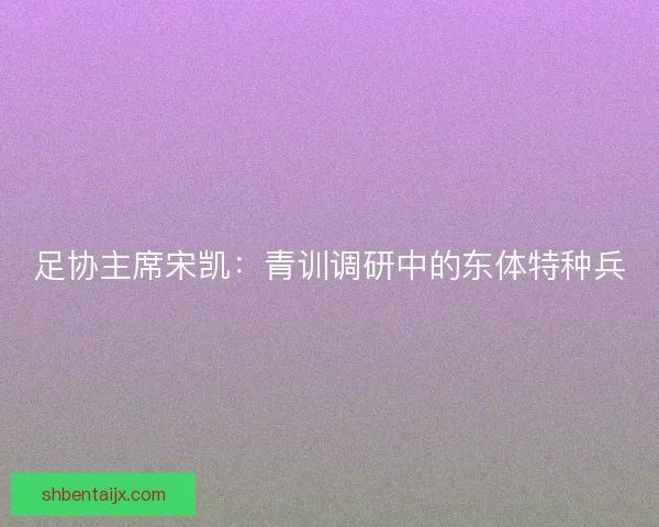 足协主席宋凯：青训调研中的东体特种兵
